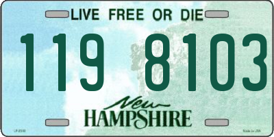 NH license plate 1198103