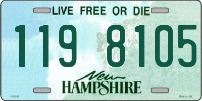 NH license plate 1198105