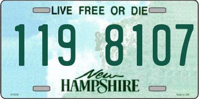 NH license plate 1198107