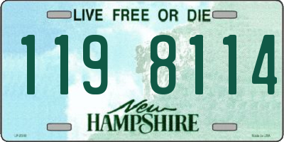 NH license plate 1198114
