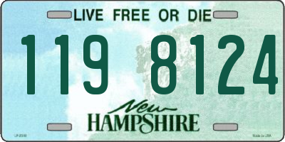 NH license plate 1198124