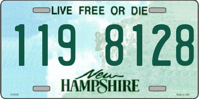NH license plate 1198128