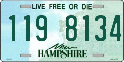 NH license plate 1198134