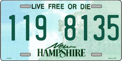 NH license plate 1198135