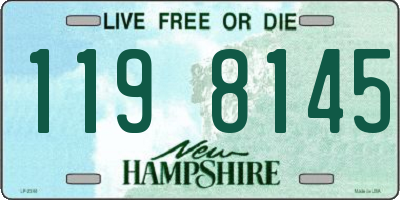 NH license plate 1198145