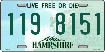 NH license plate 1198151