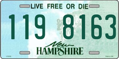 NH license plate 1198163