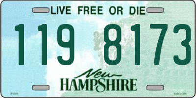 NH license plate 1198173