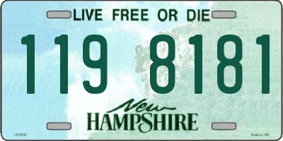 NH license plate 1198181