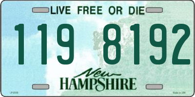 NH license plate 1198192