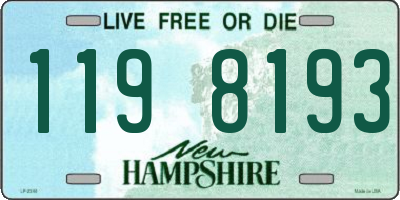 NH license plate 1198193