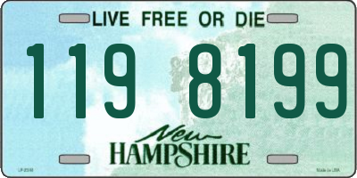 NH license plate 1198199