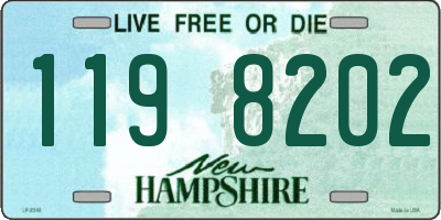 NH license plate 1198202