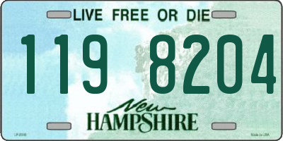 NH license plate 1198204