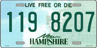 NH license plate 1198207