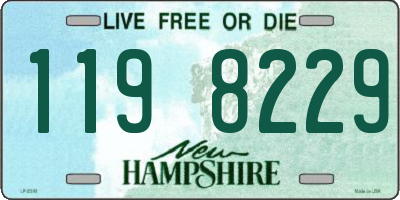 NH license plate 1198229