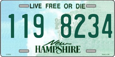 NH license plate 1198234