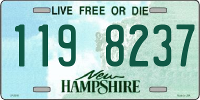 NH license plate 1198237