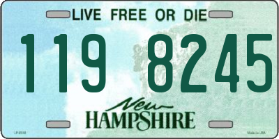 NH license plate 1198245