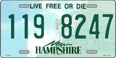 NH license plate 1198247