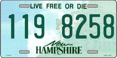 NH license plate 1198258