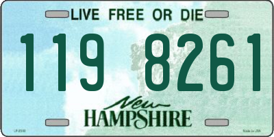 NH license plate 1198261