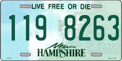 NH license plate 1198263
