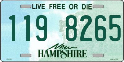 NH license plate 1198265