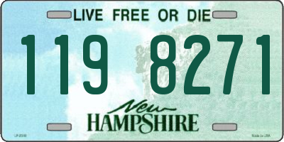 NH license plate 1198271