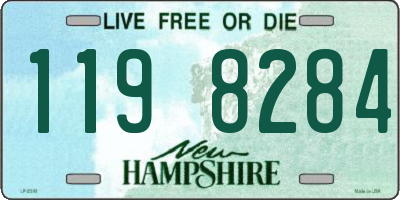NH license plate 1198284