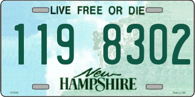 NH license plate 1198302