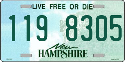 NH license plate 1198305