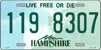 NH license plate 1198307