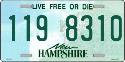 NH license plate 1198310