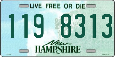 NH license plate 1198313