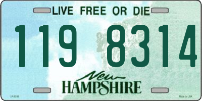 NH license plate 1198314