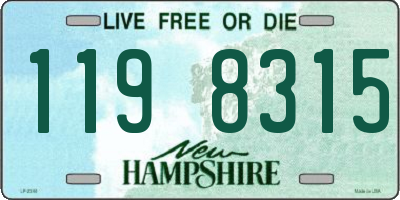 NH license plate 1198315