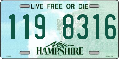 NH license plate 1198316