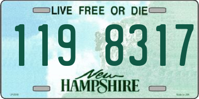 NH license plate 1198317