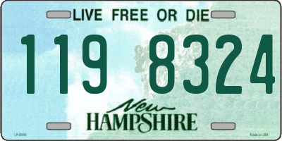 NH license plate 1198324