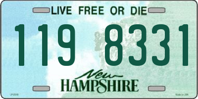 NH license plate 1198331