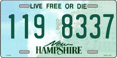 NH license plate 1198337