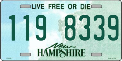 NH license plate 1198339