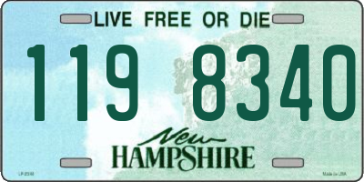 NH license plate 1198340