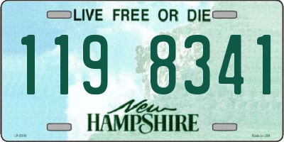 NH license plate 1198341