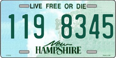 NH license plate 1198345