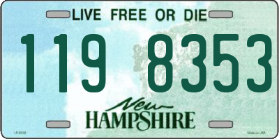 NH license plate 1198353