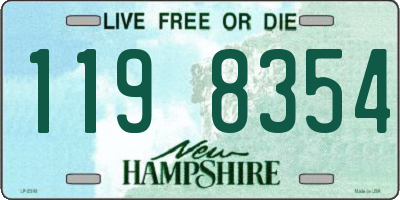 NH license plate 1198354