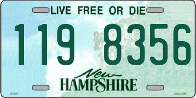 NH license plate 1198356