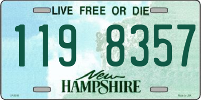 NH license plate 1198357